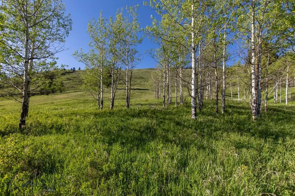 Tbd Trail Creek Road Lot 3 Bozeman MT 59715