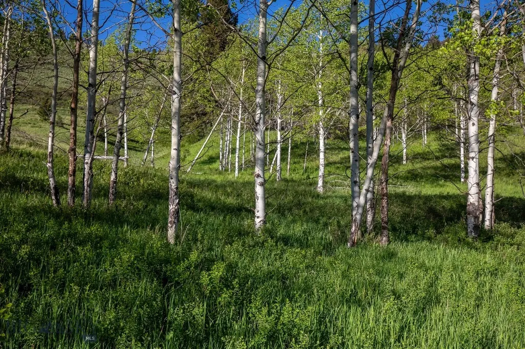 Tbd Trail Creek Road Lot 3 Bozeman MT 59715