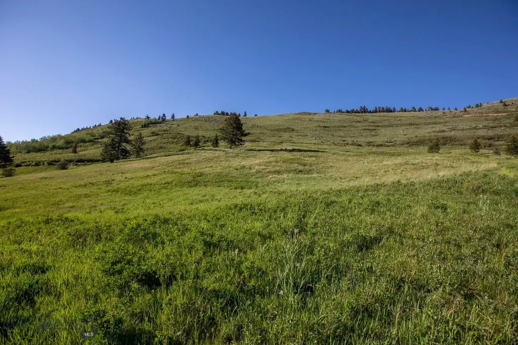 Tbd Trail Creek Road Lot 3 Bozeman MT 59715