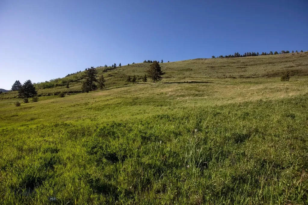 Tbd Trail Creek Road Lot 3 Bozeman MT 59715