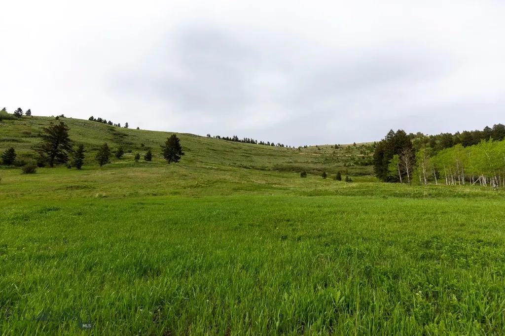 Tbd Trail Creek Road Lot 3 Bozeman MT 59715