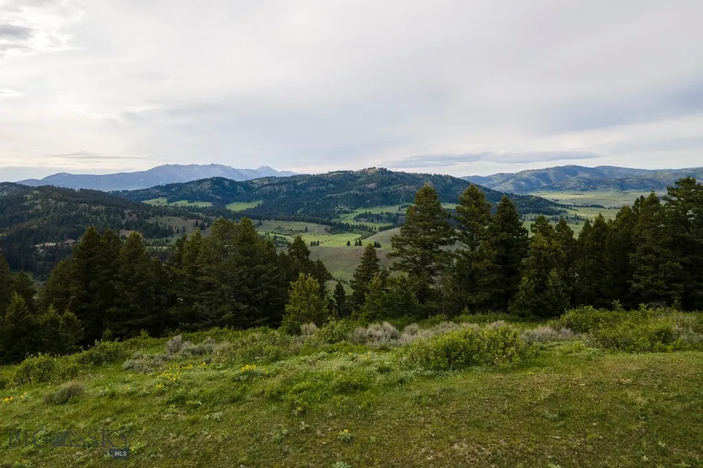 Tbd Trail Creek Road Lot 3 Bozeman MT 59715