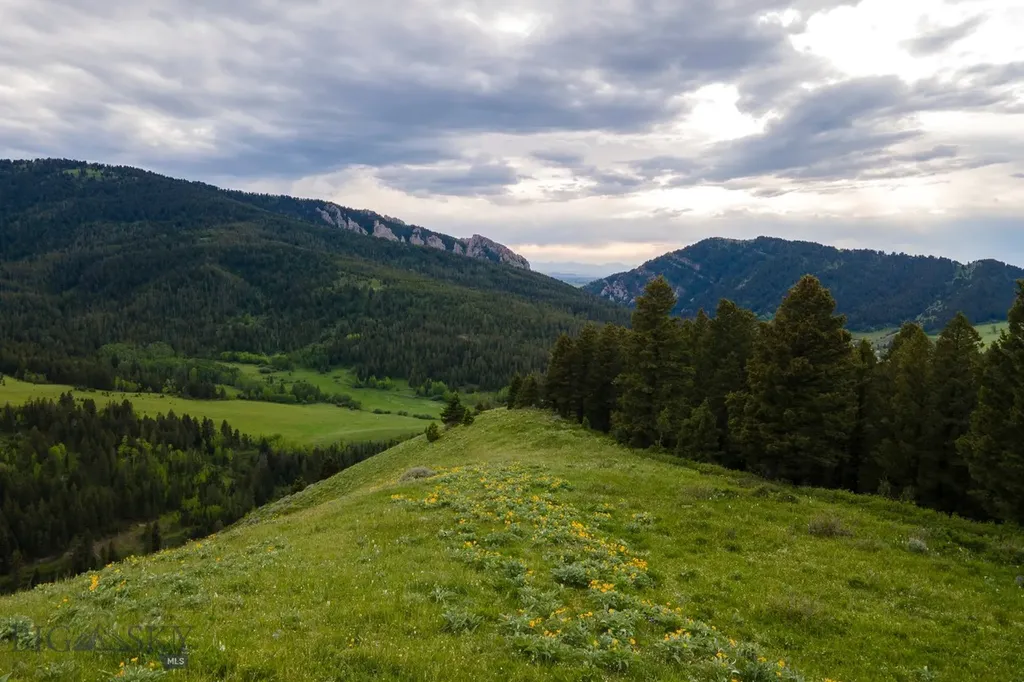 Tbd Trail Creek Road Lot 3 Bozeman MT 59715