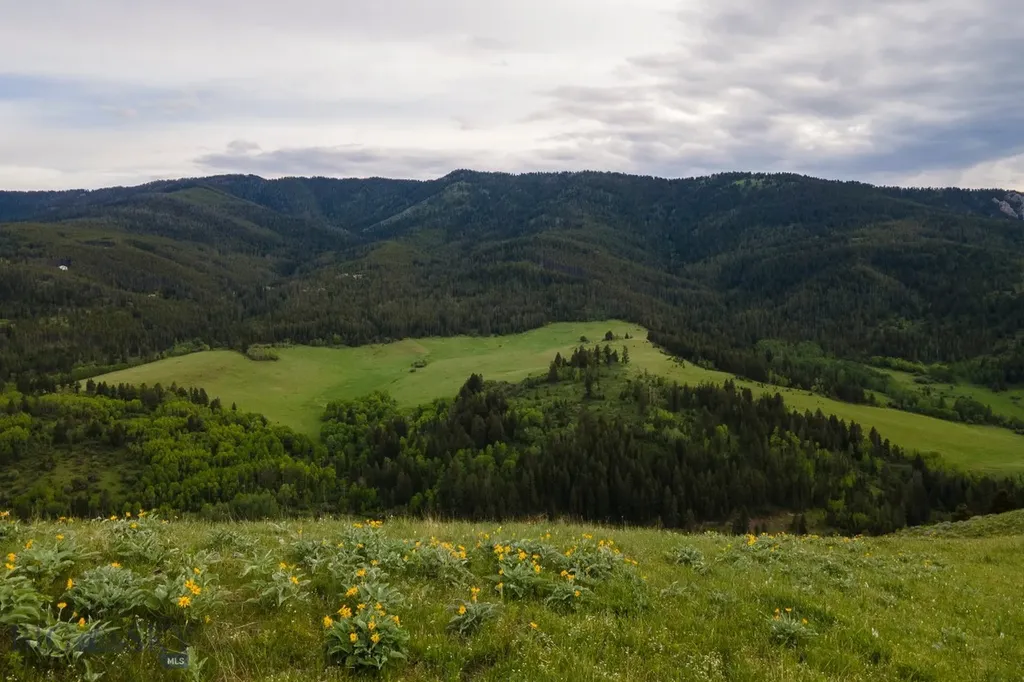 Tbd Trail Creek Road Lot 3 Bozeman MT 59715