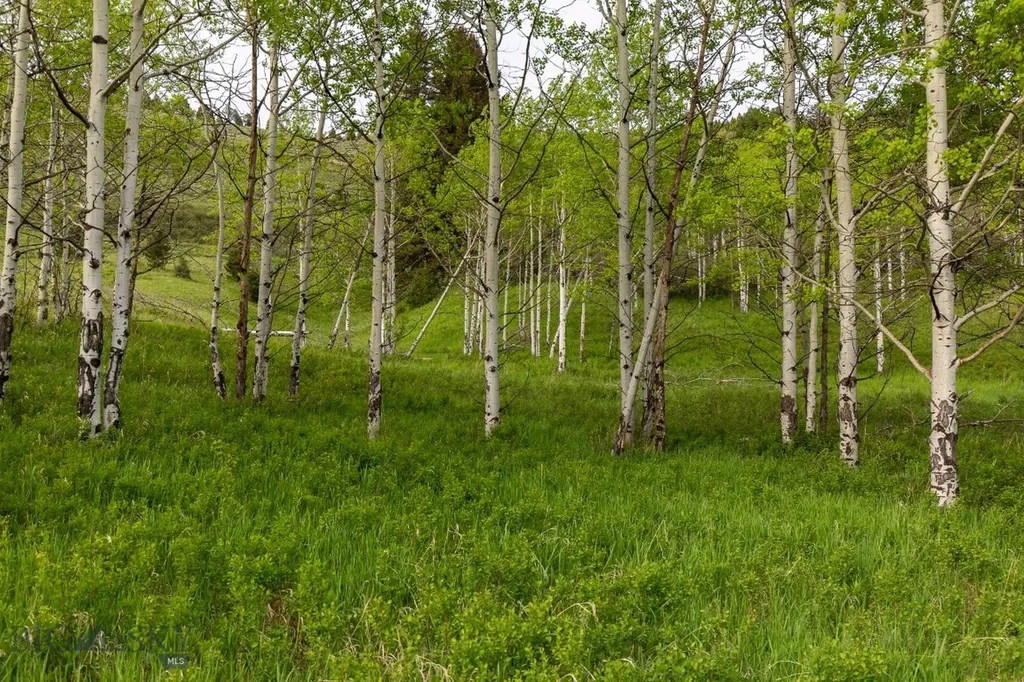 Tbd Trail Creek Road Lot 3 Bozeman MT 59715
