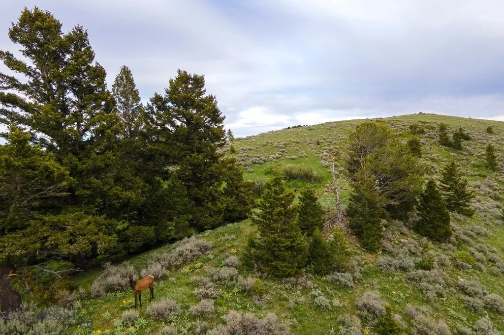 Tbd Trail Creek Road Lot 3 Bozeman MT 59715