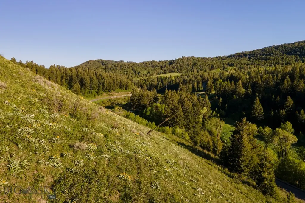 Tbd Trail Creek Road Lot 3 Bozeman MT 59715