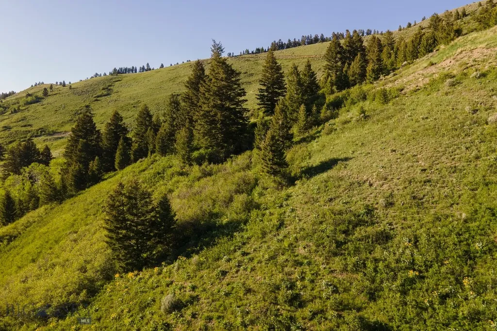 Tbd Trail Creek Road Lot 3 Bozeman MT 59715