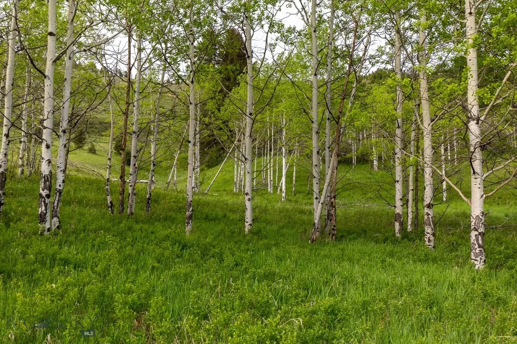 Tbd Trail Creek Road Lot 3 Bozeman MT 59715