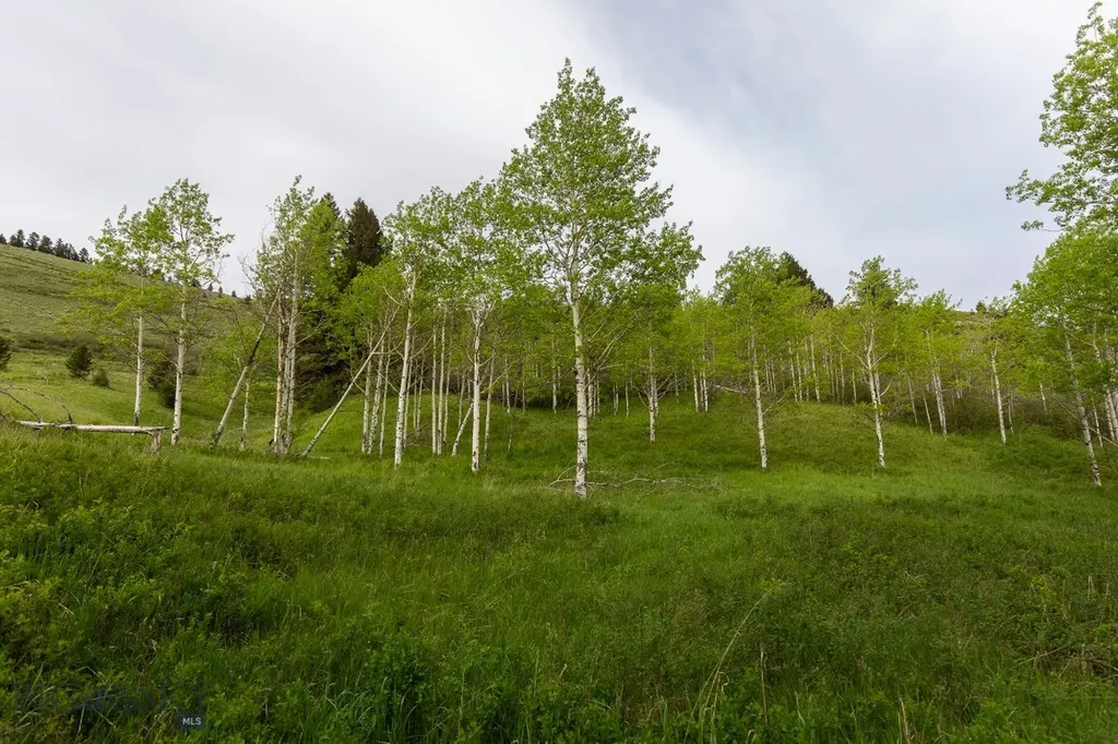 Tbd Trail Creek Road Lot 3 Bozeman MT 59715