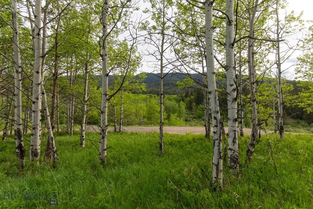 Tbd Trail Creek Road Lot 3 Bozeman MT 59715