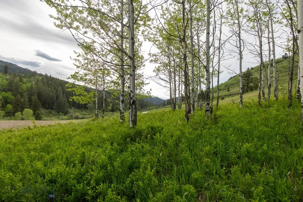 Tbd Trail Creek Road Lot 3 Bozeman MT 59715
