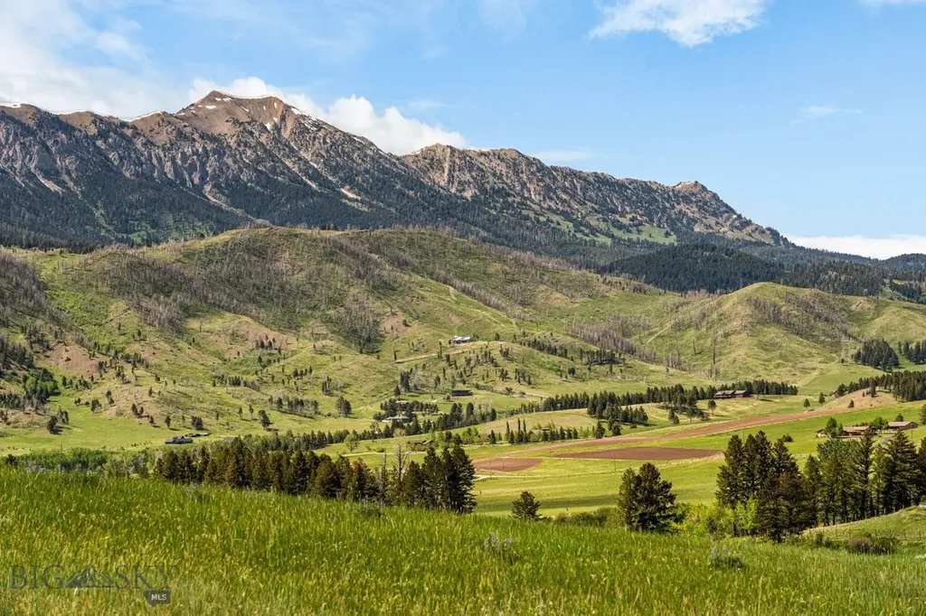 Bozeman MT 59715