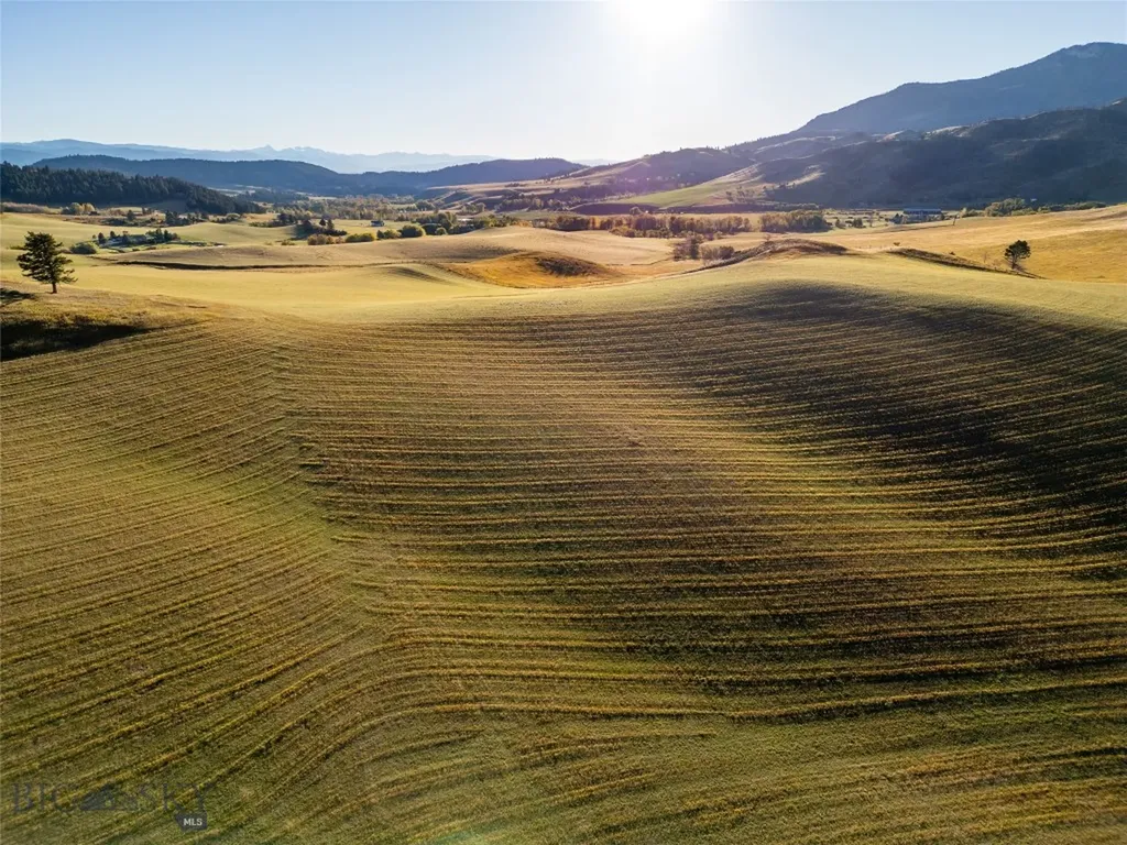 Bozeman MT 59715