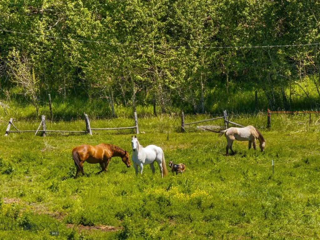 11261 Law Road Bozeman MT 59718