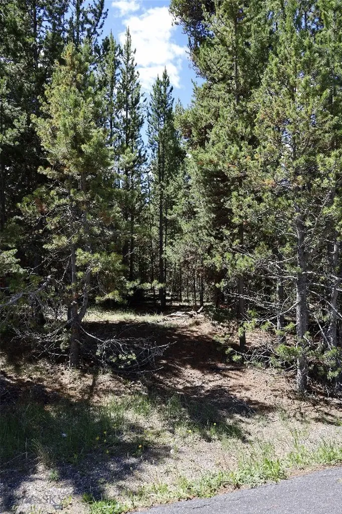 612 Apollinaris Avenue West Yellowstone MT 59758