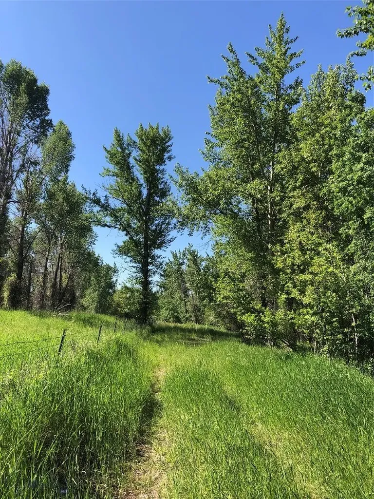 Tbd Indigo Bozeman MT 59715
