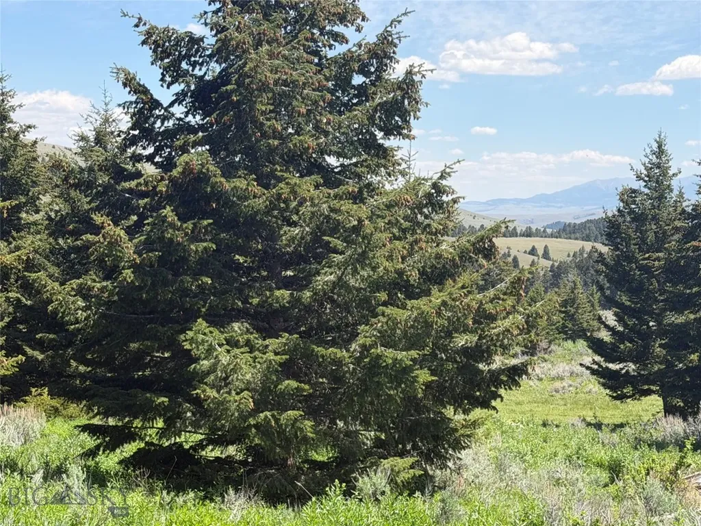 Nhn Castle Town Road White Sulphur Springs MT 59645