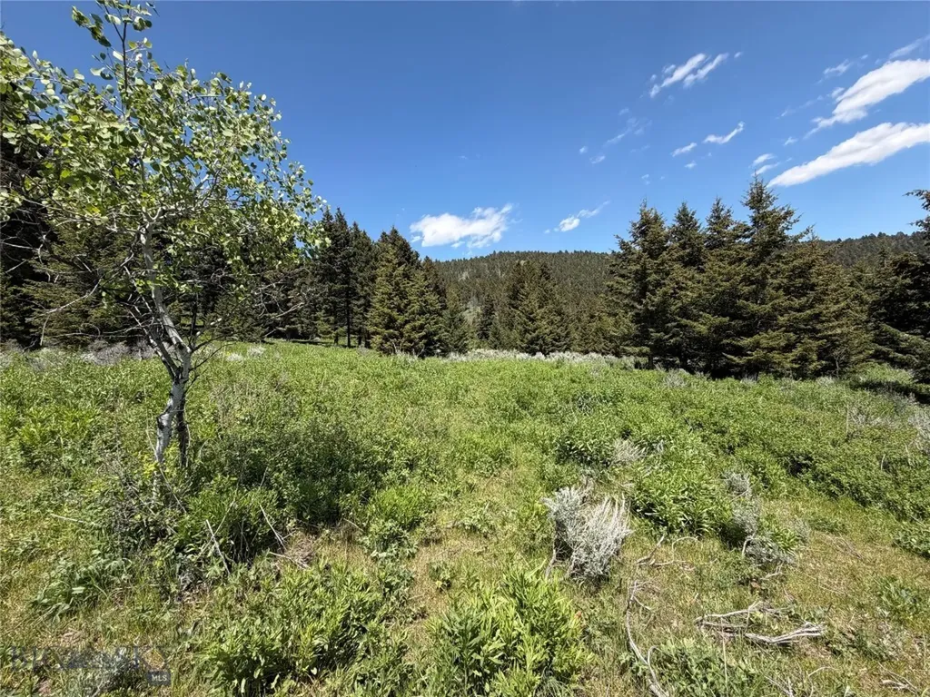Nhn Castle Town Road White Sulphur Springs MT 59645
