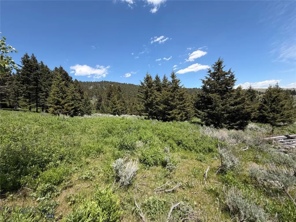Nhn Castle Town Road White Sulphur Springs MT 59645