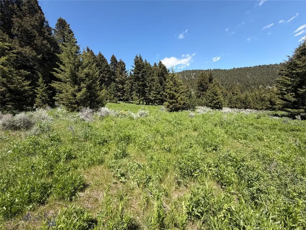 Nhn Castle Town Road White Sulphur Springs MT 59645