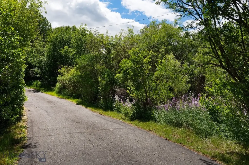 2890 Springhill Road Bozeman MT 59718