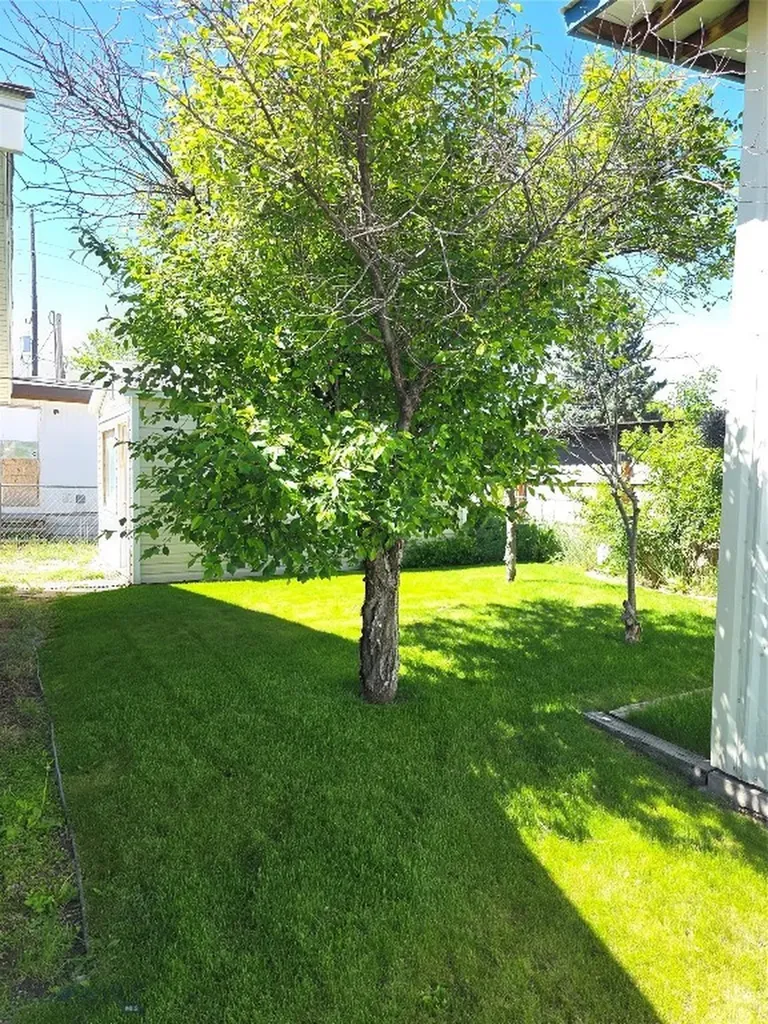 331 N Walnut Street Dillon MT 59725