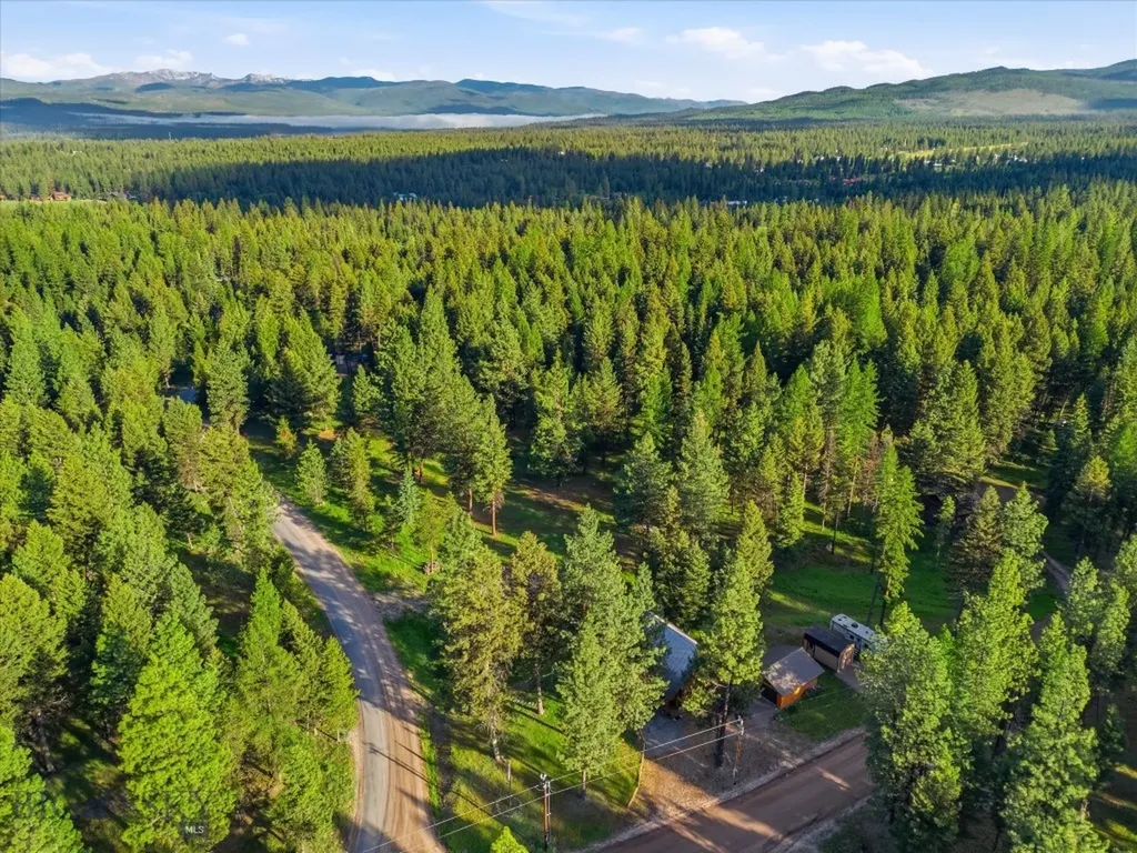 305 Glacier Drive Seeley Lake MT 59868
