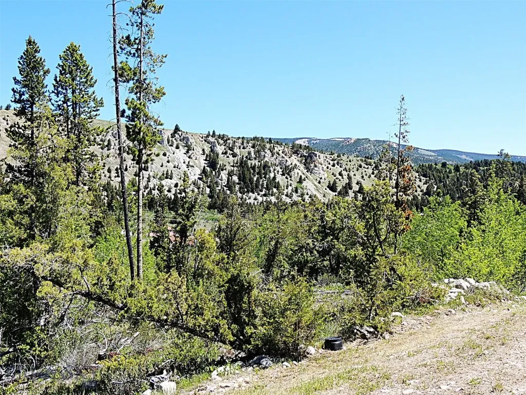 261 Kanduch Road Anaconda MT 59711