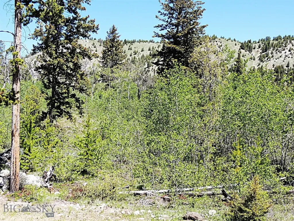 261 Kanduch Road Anaconda MT 59711