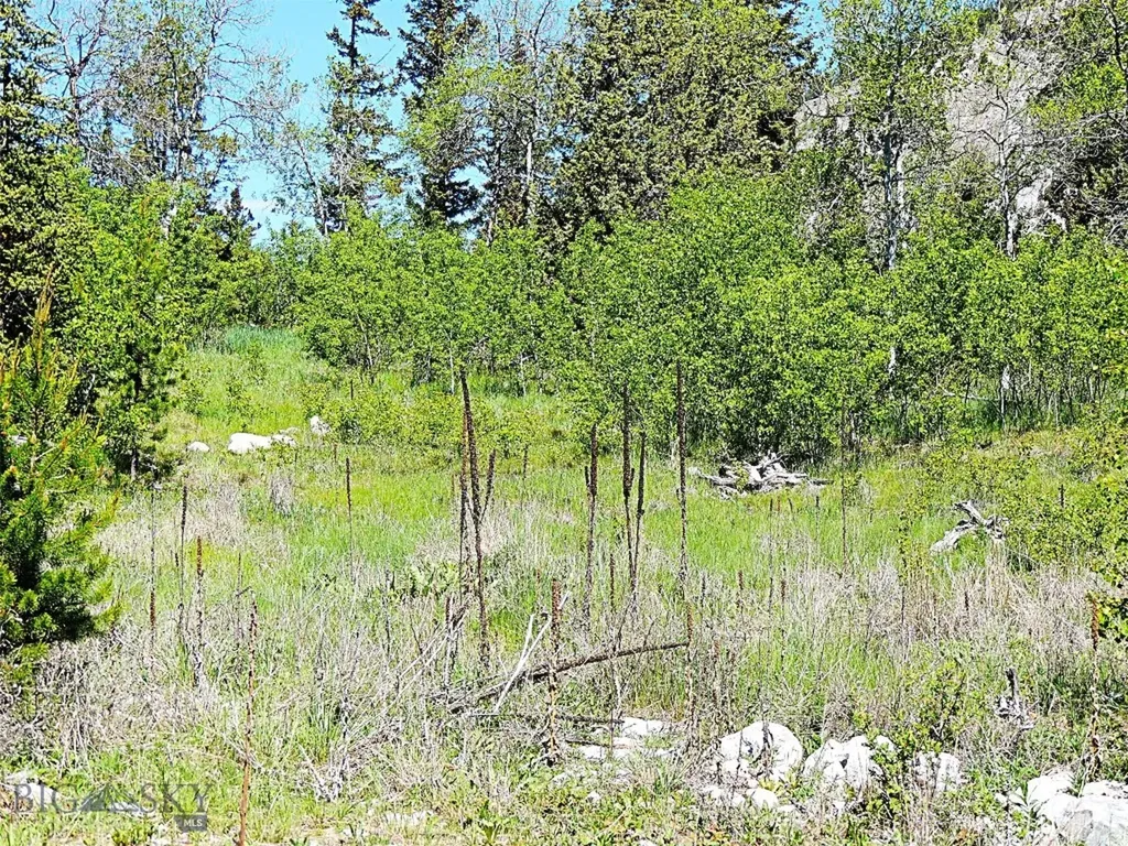 261 Kanduch Road Anaconda MT 59711