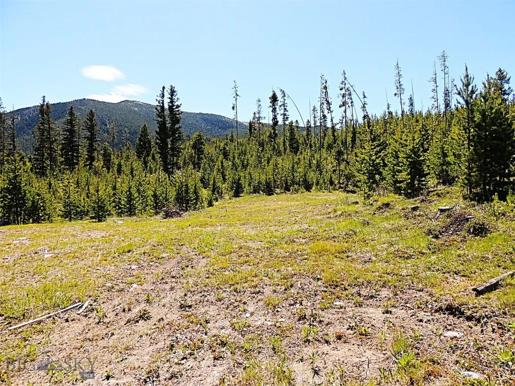 261 Kanduch Road Anaconda MT 59711