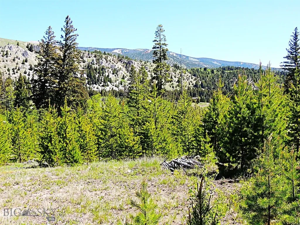 261 Kanduch Road Anaconda MT 59711