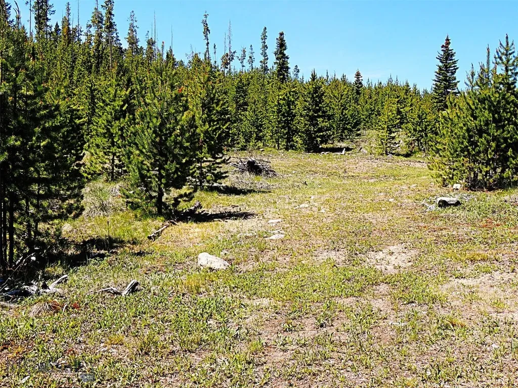 261 Kanduch Road Anaconda MT 59711