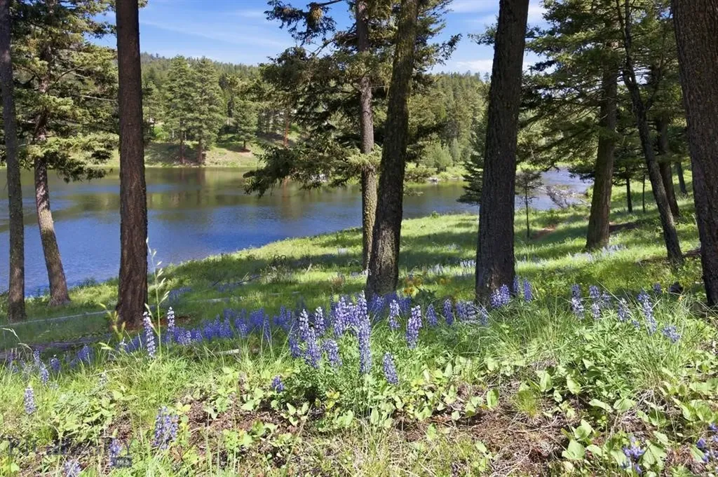 Lot 3 Big Waters Ranch Road Seeley Lake MT 59868