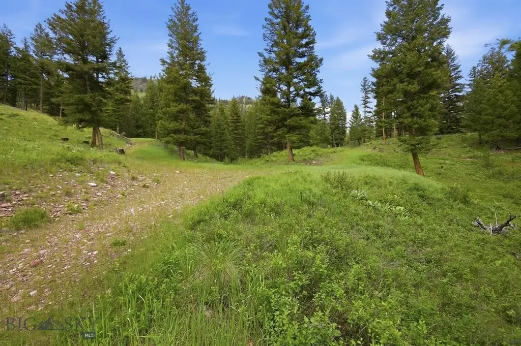 Lot 3 Big Waters Ranch Road Seeley Lake MT 59868