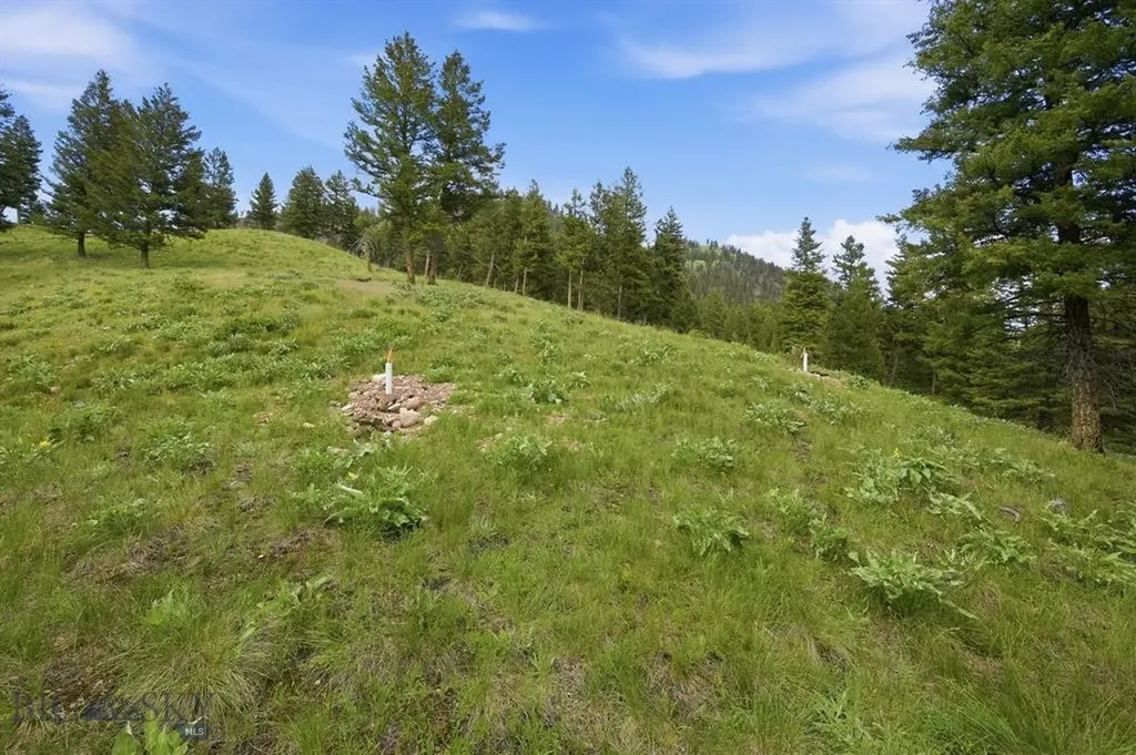 Lot 3 Big Waters Ranch Road Seeley Lake MT 59868