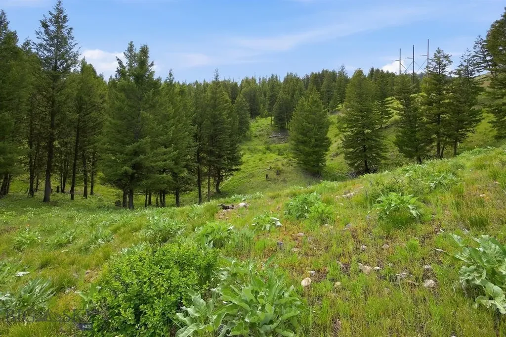 Lot 3 Big Waters Ranch Road Seeley Lake MT 59868
