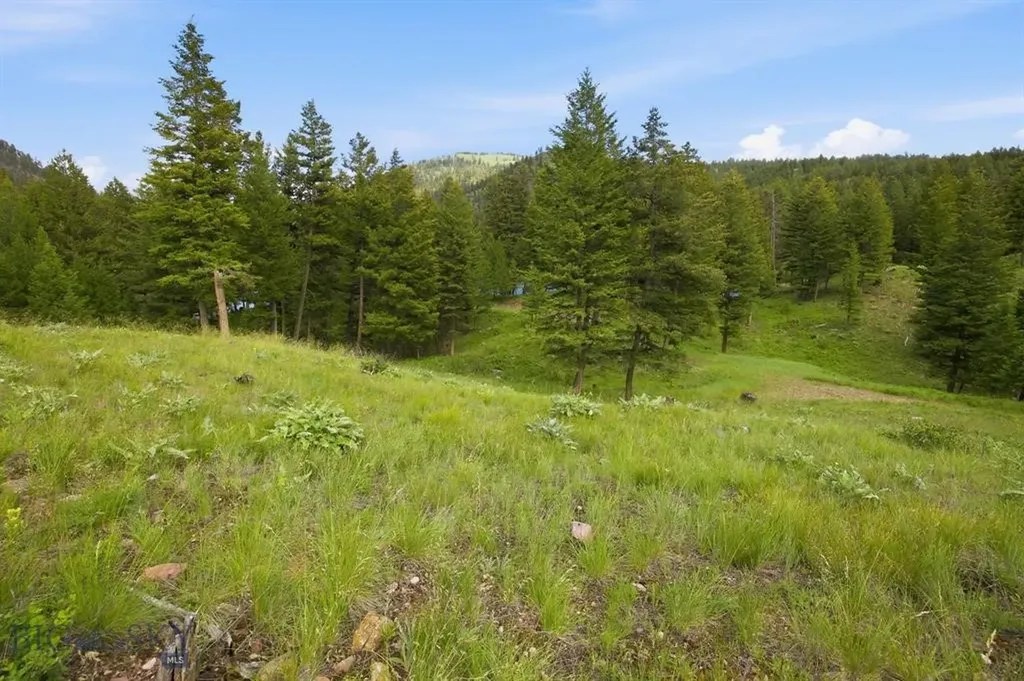 Lot 3 Big Waters Ranch Road Seeley Lake MT 59868