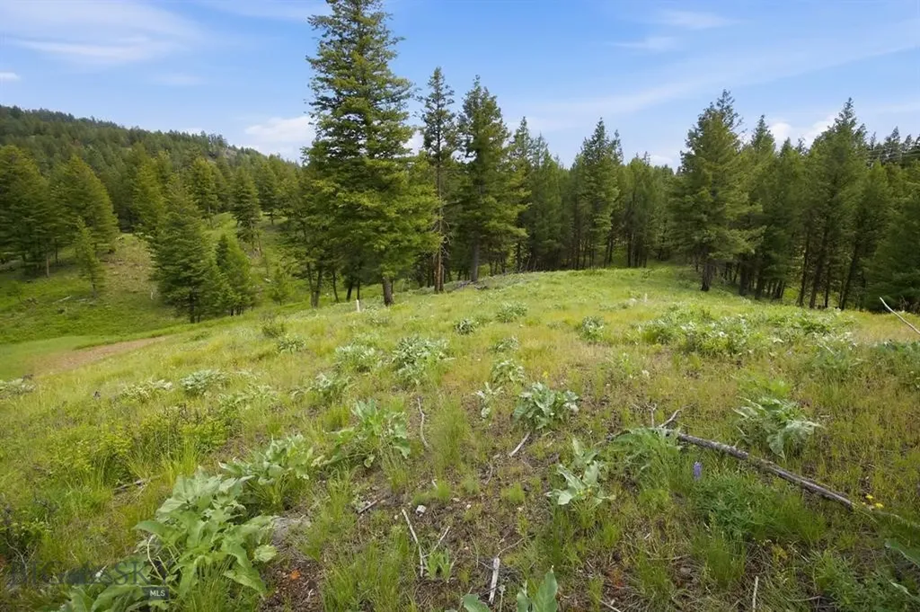 Lot 3 Big Waters Ranch Road Seeley Lake MT 59868