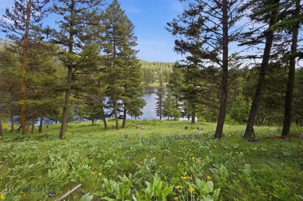 Lot 3 Big Waters Ranch Road Seeley Lake MT 59868