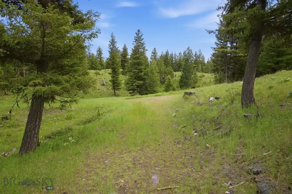 Lot 3 Big Waters Ranch Road Seeley Lake MT 59868
