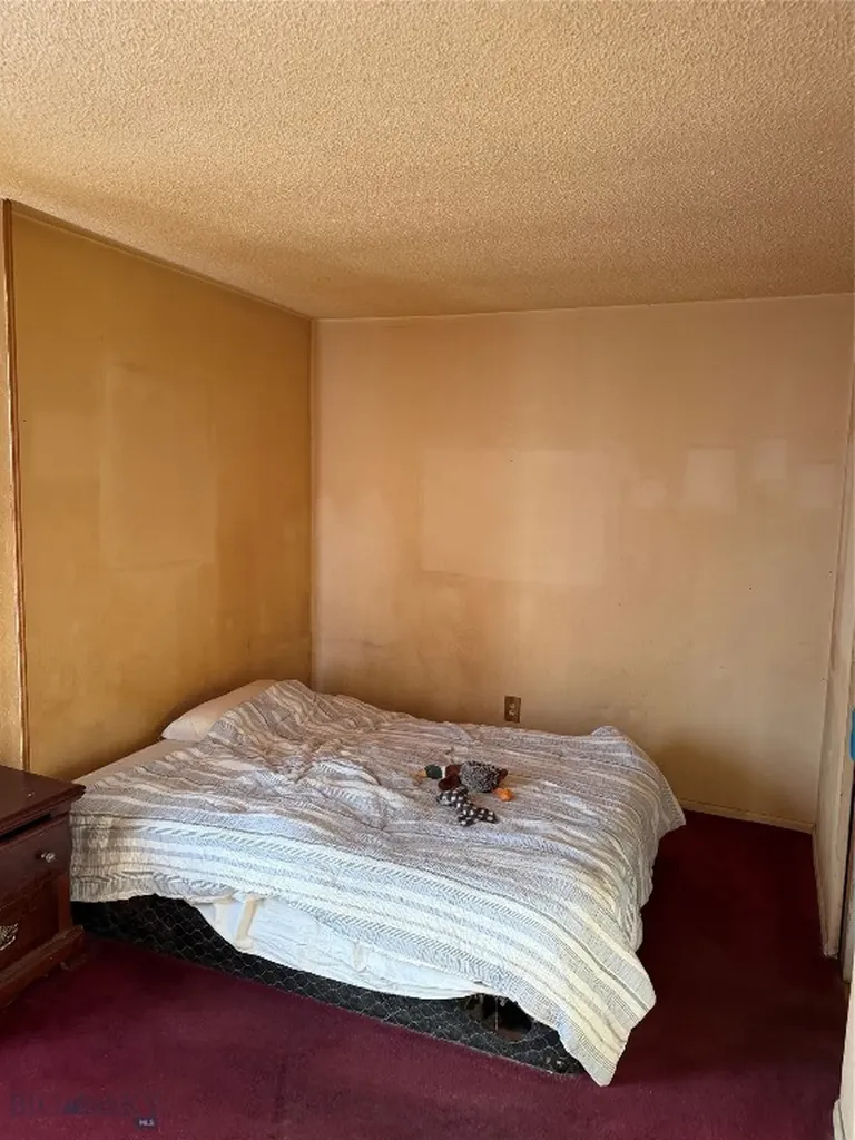 653 S Montana Butte MT 59701