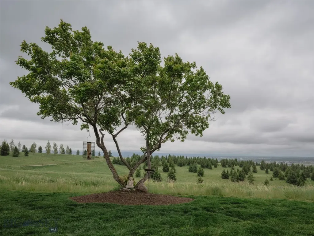 2375 Whitetail Road Bozeman MT 59715