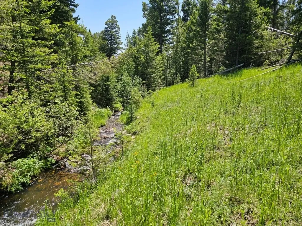 Crow Bar Indian Creek Townsend MT 59644