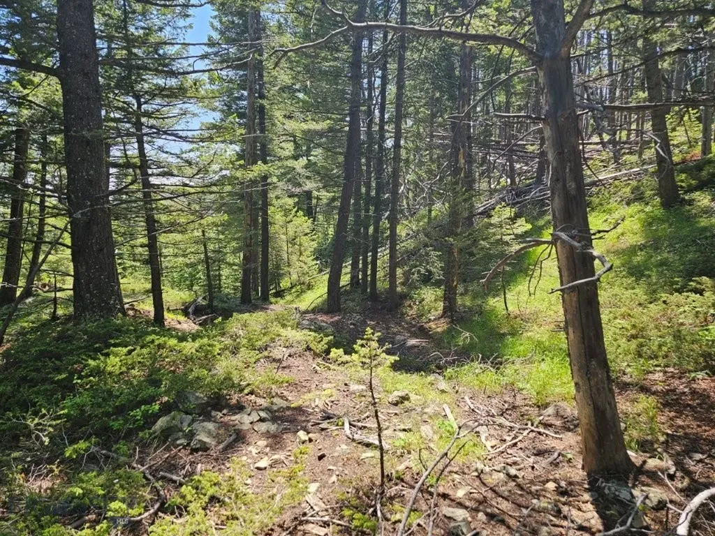 Crow Bar Indian Creek Townsend MT 59644