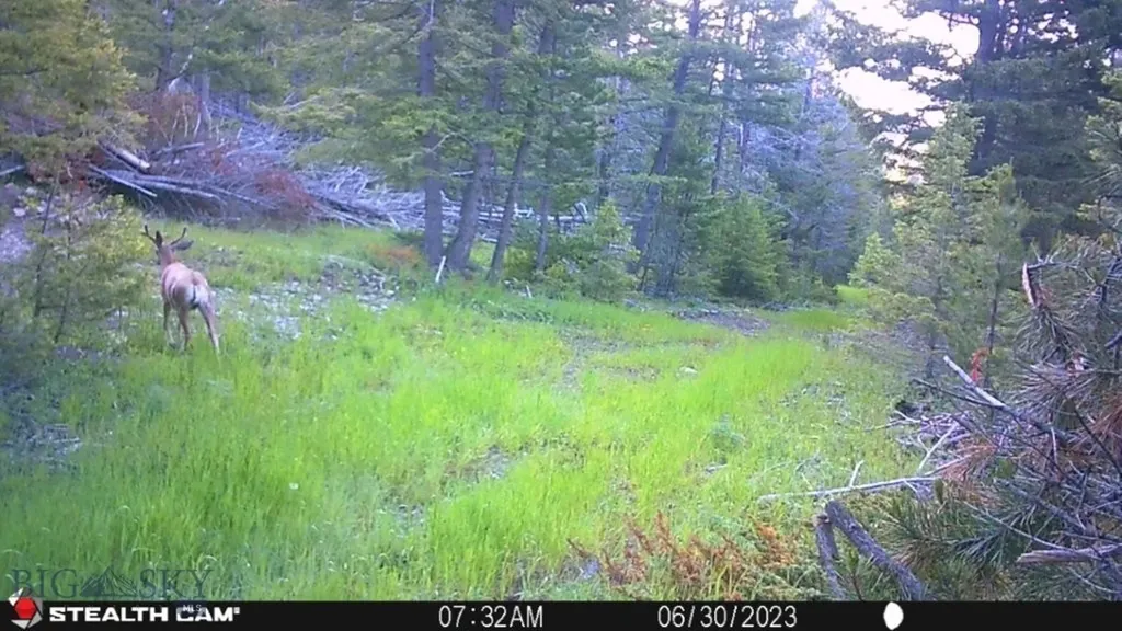 Crow Bar Indian Creek Townsend MT 59644