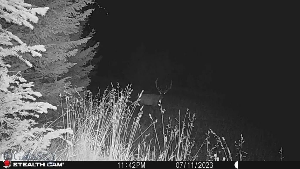 Crow Bar Indian Creek Townsend MT 59644