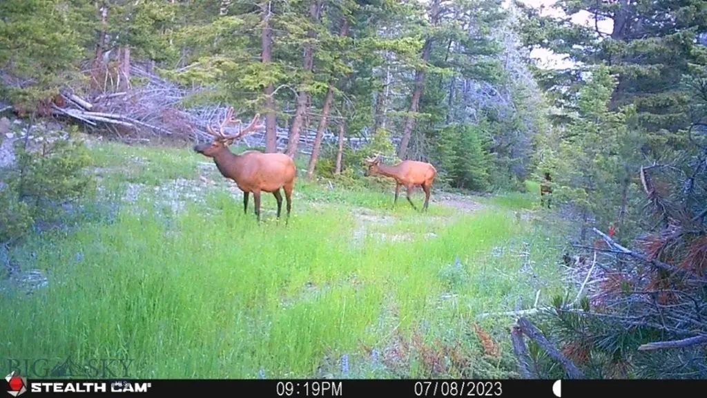 Crow Bar Indian Creek Townsend MT 59644