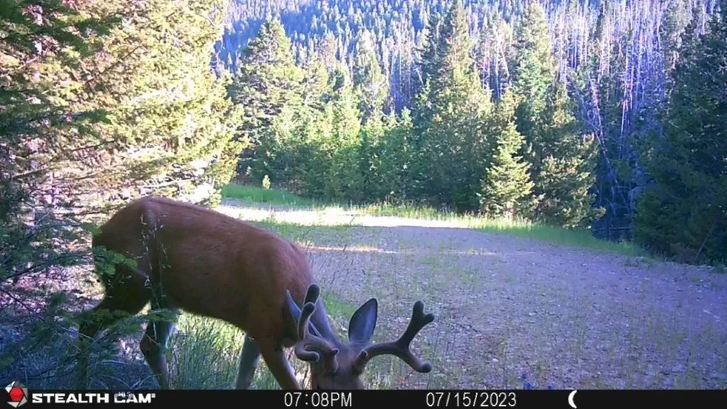 Crow Bar Indian Creek Townsend MT 59644